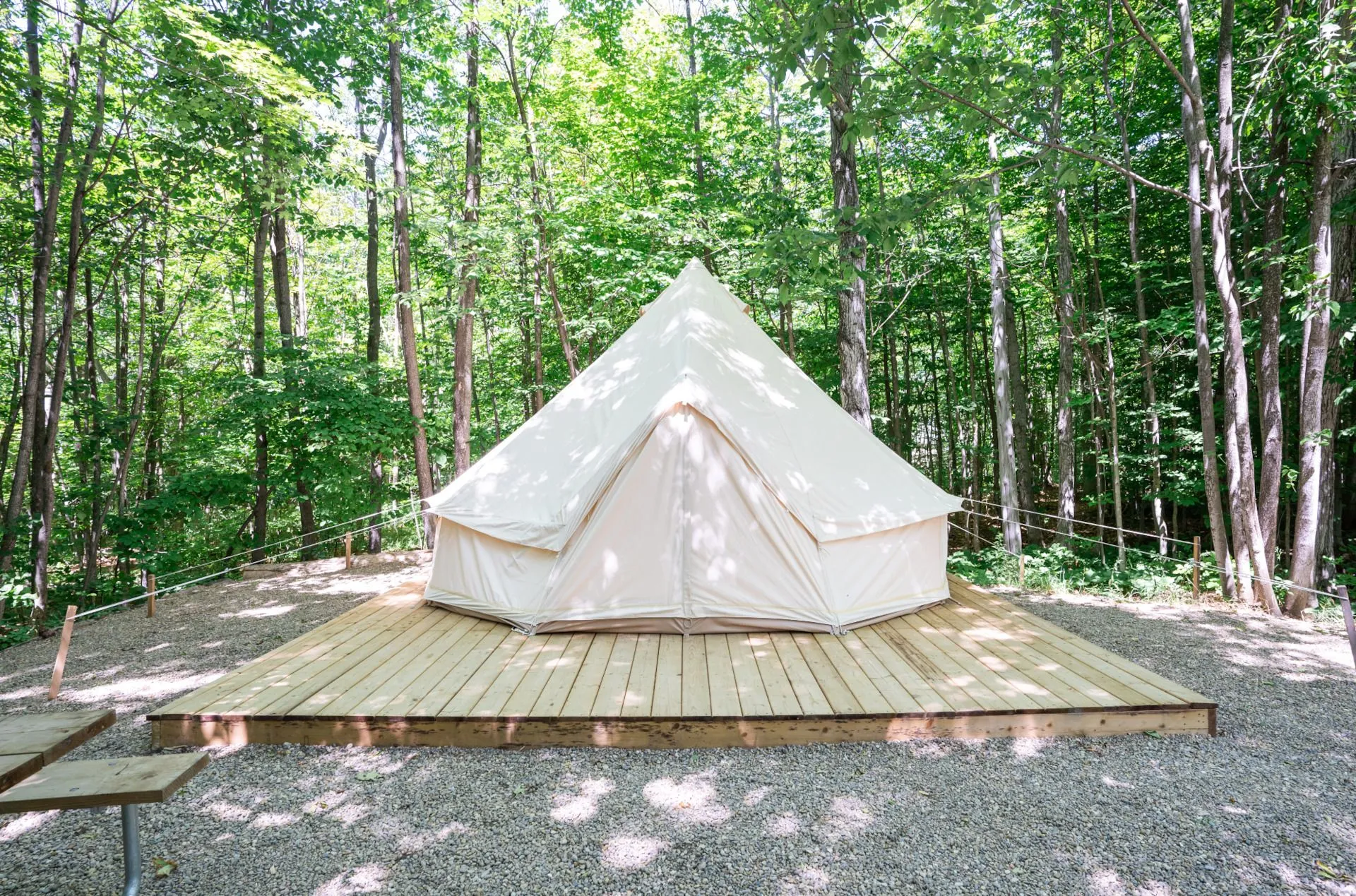 115ca207-3eac-4fc4-afdf-8270a18570c9-1920w